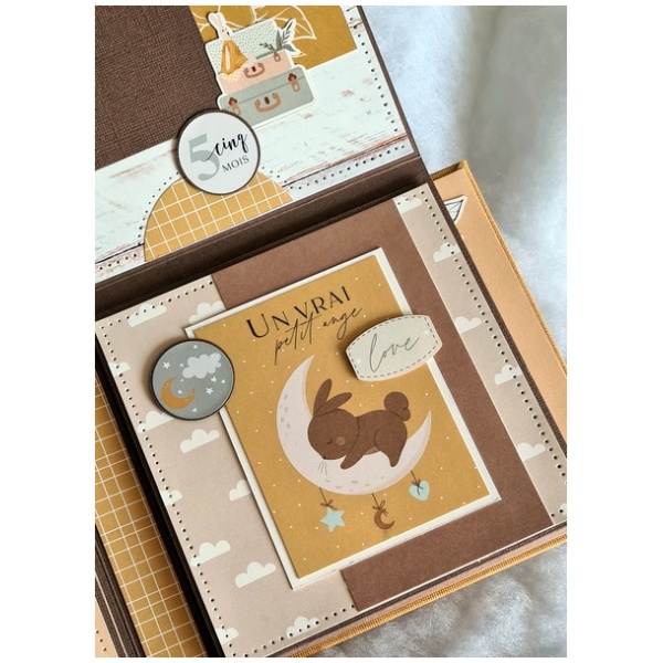 Kit Album Florilèges Design HELLO BABY GIRL – Image 33