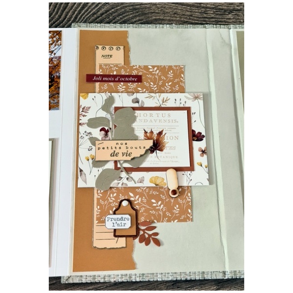 Kit Album Esprit Nature – Image 4