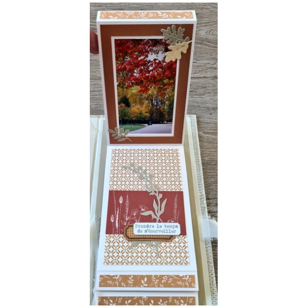 Kit Album Esprit Nature – Image 3