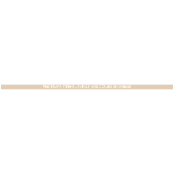 Florilèges Design - Papier uni DUO BEIGE SABLE – Image 2