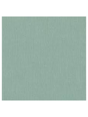 Papier uni 30.5 x 30.5 cm Bazzill Aqua texturé