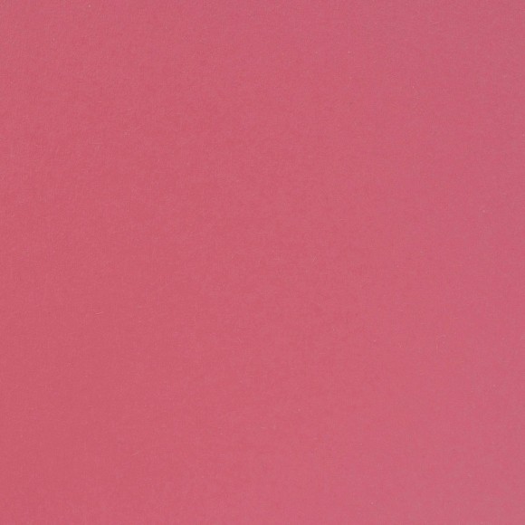 Carta Per Biglietti Fai Da Te Cartoncino Florence Testurizzata - Materiali Per Biglietti Colorati 30,5 X 30,5 Cm - Broccoli - 20 Fogli - Carta Per Scrapbooking, Biglietti, Fustellatura E Progetti Con