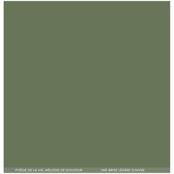 Florilèges Design - Papier uni DUO VERT SAPIN – Image 2