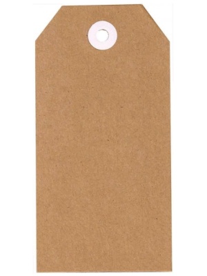 Lot de 25 tags Kraft