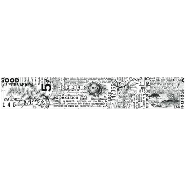Arden Creative Studio - Ruban adhésif transparent HIDDEN CREEK Journal Kiss-Cut PET Tape ACSCT0002