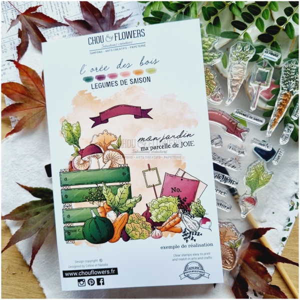 Chou & Flowers - Tampons Clear LÉGUMES DE SAISON - L'ORÉE DES BOIS – Image 2
