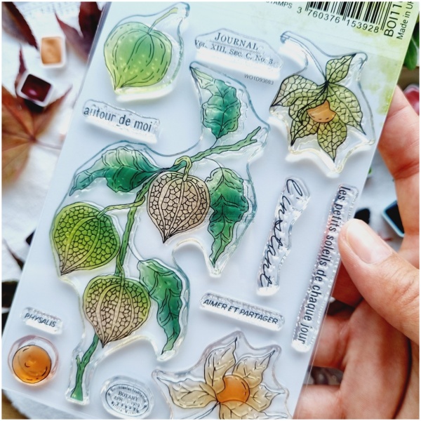 Chou & Flowers - Tampons clear PHYSALIS - L'ORÉE DES BOIS – Image 2