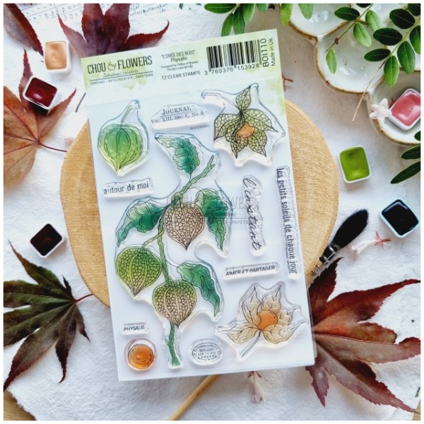 Chou & Flowers - Tampons clear PHYSALIS - L'ORÉE DES BOIS