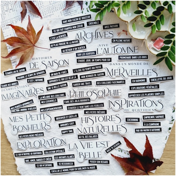 CHOU & FLOWERS - Die-cuts MOTS D'AUTOMNE - L'ORÉE DES BOIS – Image 3